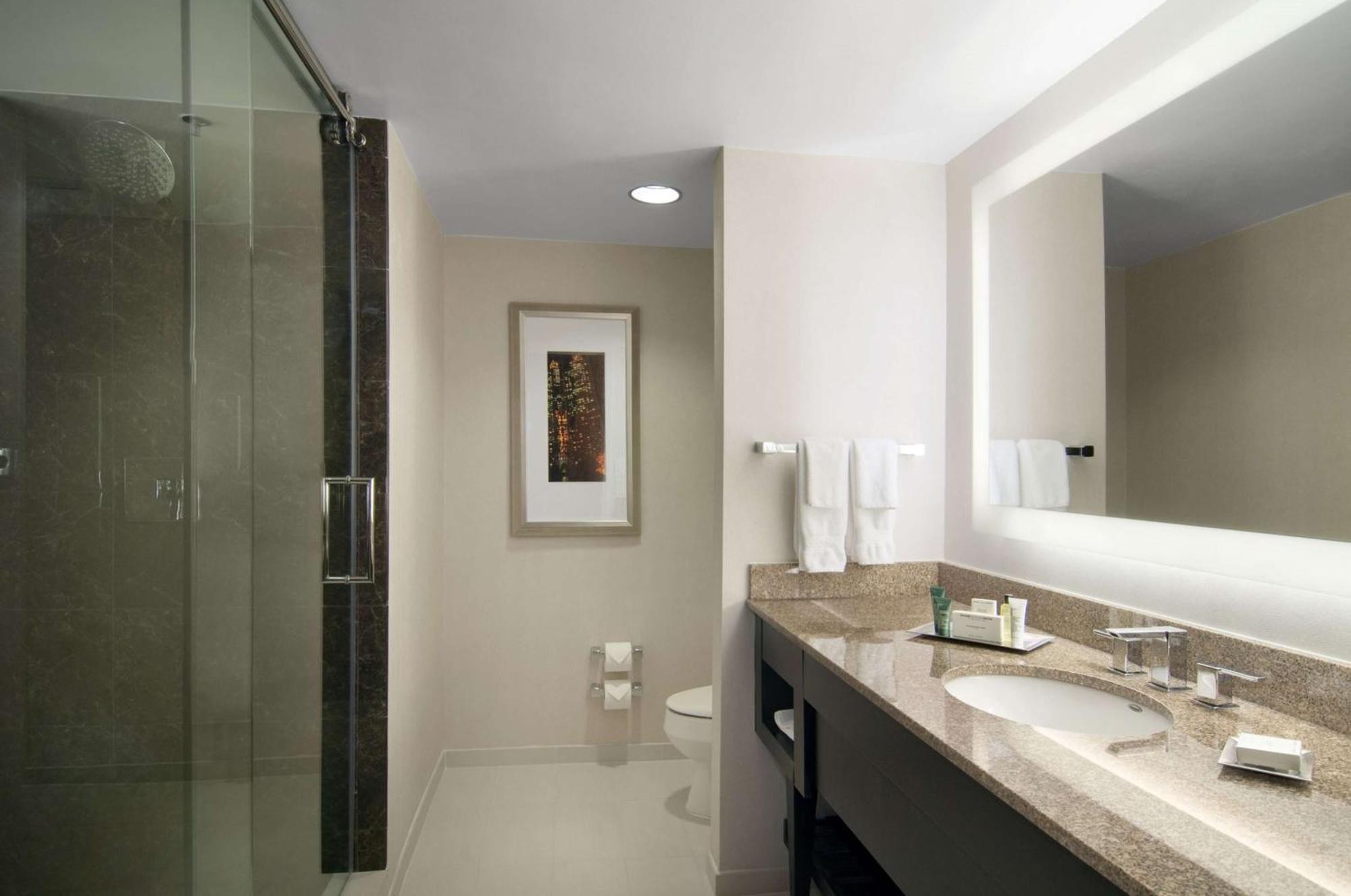 Hilton Atlanta Airport 4*